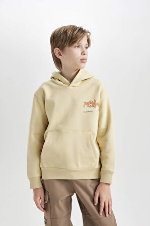 DeFacto Erkek Çocuk Kapüşonlu Sırt Baskılı Sweatshirt D3039A824WNBG435
