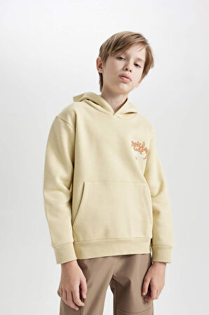 DeFacto Erkek Çocuk Kapüşonlu Sırt Baskılı Kalın Sweatshirt D3039A824WNBG435