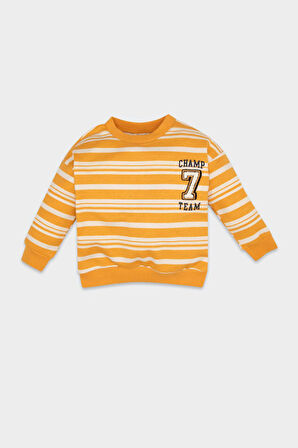 DeFacto Erkek Bebek Bisiklet Yaka Çizgili İçi Yumuşak Tüylü Sweatshirt D4475A524AUYL77
