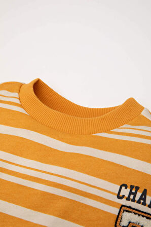 DeFacto Erkek Bebek Bisiklet Yaka Çizgili İçi Yumuşak Tüylü Sweatshirt D4475A524AUYL77