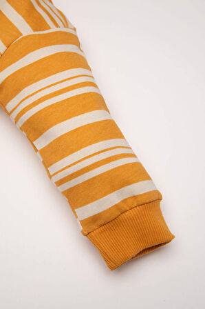 DeFacto Erkek Bebek Bisiklet Yaka Çizgili İçi Yumuşak Tüylü Sweatshirt D4475A524AUYL77