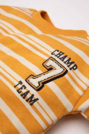 DeFacto Erkek Bebek Bisiklet Yaka Çizgili İçi Yumuşak Tüylü Sweatshirt D4475A524AUYL77