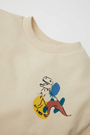 DeFacto Erkek Bebek 3D Baskılı İnce Sweatshirt Eşofman Altı 2'li Takım D3934A524WNER42