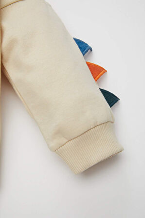 DeFacto Erkek Bebek 3D Baskılı İnce Sweatshirt Eşofman Altı 2'li Takım D3934A524WNER42