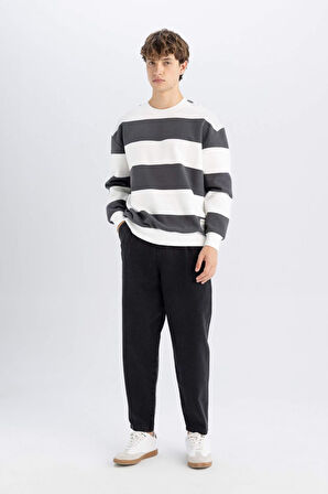 DeFacto Boxy Fit Bisiklet Yaka Çizgili Sweatshirt A9066AX24AUAR216