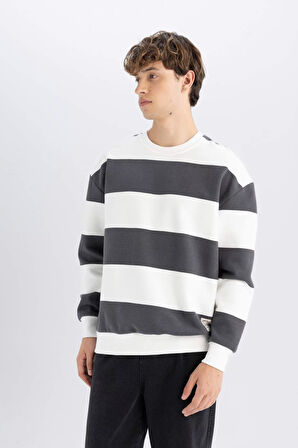 DeFacto Boxy Fit Bisiklet Yaka Çizgili Sweatshirt A9066AX24AUAR216