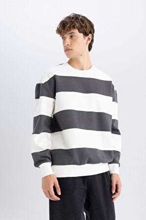 DeFacto Boxy Fit Bisiklet Yaka Çizgili Sweatshirt A9066AX24AUAR216