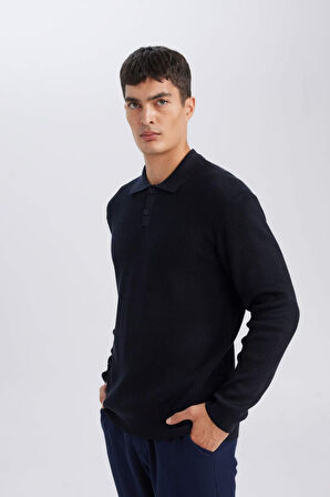 DeFacto Lacivert Standart Fit Polo Yaka Düğmeli Triko Kazak D1959AX24AUNV64