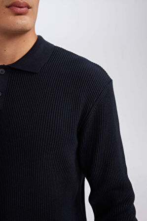 DeFacto Lacivert Standart Fit Polo Yaka Düğmeli Triko Kazak D1959AX24AUNV64