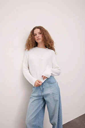 L2567 Coool Regular Fit Bisiklet Yaka Basic Düz Triko Kazak