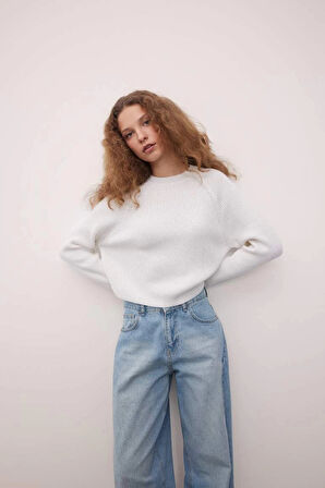 L2567 Coool Regular Fit Bisiklet Yaka Basic Düz Triko Kazak