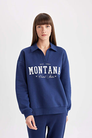 DeFacto Relax Fit Polo Yaka Baskılı Kalın Sweatshirt D5296AX24AUNV31