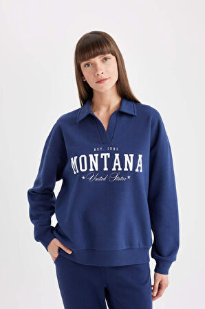 DeFacto Relax Fit Polo Yaka Baskılı Kalın Sweatshirt D5296AX24AUNV31