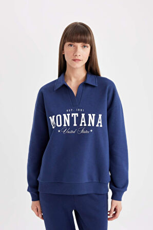 DeFacto Relax Fit Polo Yaka Baskılı Kalın Sweatshirt D5296AX24AUNV31