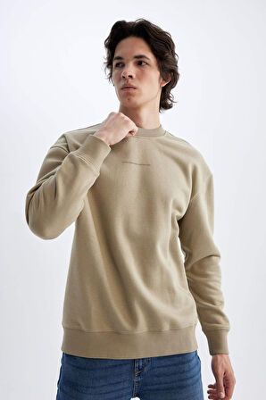 DeFacto Boxy Fit Bisiklet Yaka Baskılı Sweatshirt X8282AZ24AUBG311