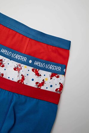 Erkek Çocuk 3'lü Boxer