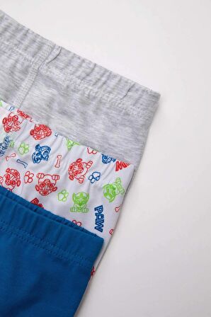 DeFacto Erkek Çocuk Paw Patrol 3'lü Boxer C2901A824SMBE43