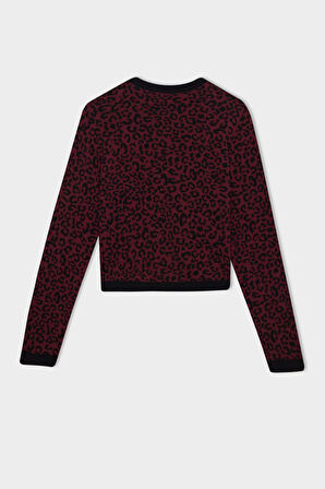 Regular Fit Bisiklet Yaka Leopar Desenli Düğme Kapamalı Triko Hırka