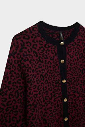Regular Fit Bisiklet Yaka Leopar Desenli Düğme Kapamalı Triko Hırka