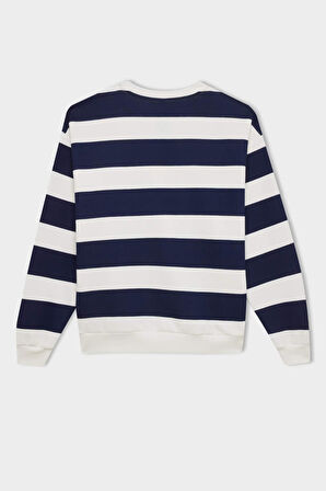 DeFacto Relax Fit Bisiklet Yaka Çizgili Kalın Sweatshirt A1883AX24AUNV42