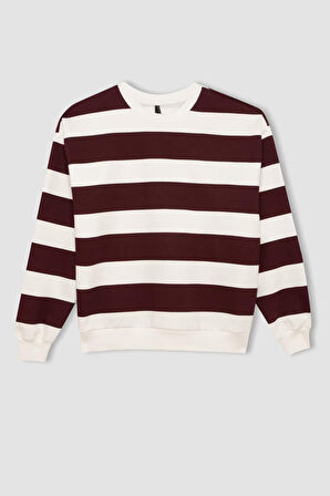DeFacto Relax Fit Bisiklet Yaka Çizgili Kalın Sweatshirt A1883AX24AUBR115