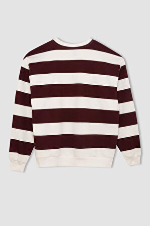 DeFacto Relax Fit Bisiklet Yaka Çizgili Kalın Sweatshirt A1883AX24AUBR115