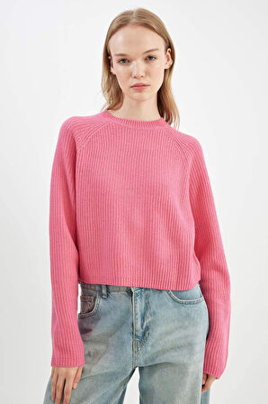 DeFacto Coool Regular Fit Bisiklet Yaka Basic Triko Kazak L2567AZ24WNPN206