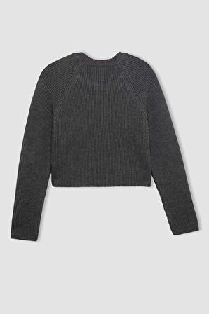 DeFacto Coool Regular Fit Bisiklet Yaka Basic Triko Kazak L2567AZ24WNGR164