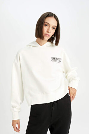DeFacto Boxy Fit Kapüşonlu Baskılı Sweatshirt D6718AX24WNER105