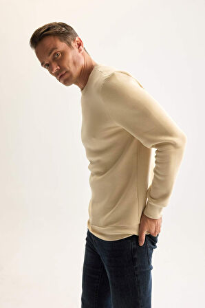 DeFacto 3 İplik Pamuklu Şardonlu İçi Polarlı Regular Fit Bisiklet Yaka Kalın Sweatshirt D7876AXNSBG155