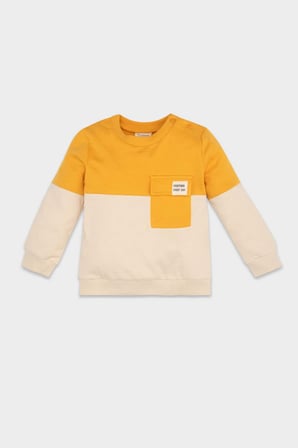 Erkek Bebek Bisiklet Yaka Renk Bloklu İçi Yumuşak Tüylü Sweatshirt