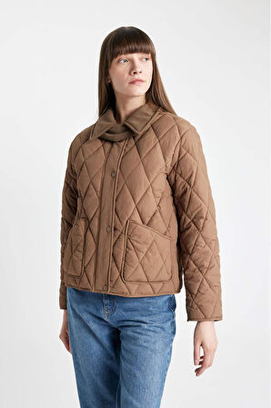 DeFacto Regular Fit Kapitoneli Ceket Mont C7658AX24AUBG778