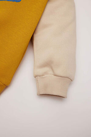 DeFacto Erkek Bebek Bisiklet Yaka İçi Yumuşak Tüylü Baskılı Sweatshirt D6755A524WNYL64