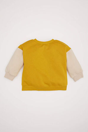 DeFacto Erkek Bebek Bisiklet Yaka İçi Yumuşak Tüylü Baskılı Sweatshirt D6755A524WNYL64