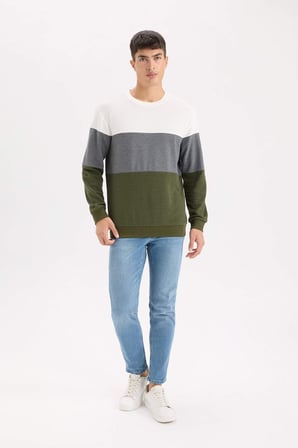 DeFacto Regular Fit Bisiklet Yaka Renk Bloklu Jakarlı Sweatshirt D5393AX24AUGN351