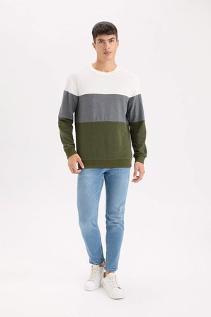 DeFacto Regular Fit Bisiklet Yaka Renk Bloklu Jakarlı Sweatshirt D5393AX24AUGN351