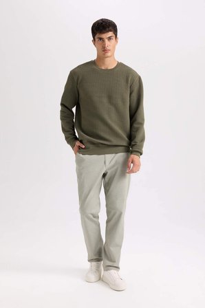 DeFacto Regular Fit Bisiklet Yaka Jakarlı Sweatshirt D5392AX24AUKH261