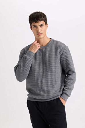 Regular Fit Bisiklet Yaka Jakarlı Sweatshirt