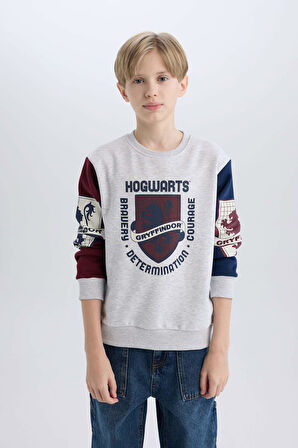 Erkek Çocuk Harry Potter Regular Fit Bisiklet Yaka Sweatshirt