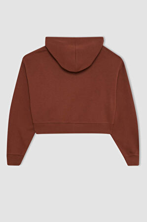 DeFacto Coool Loose Fit Kapüşonlu Baskılı Kalın Kanguru Cepli Fermuarlı Sweatshirt D5317AX24AUBN319