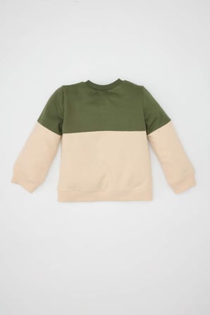 DeFacto Erkek Bebek Bisiklet Yaka Renk Bloklu İçi Yumuşak Tüylü Sweatshirt A9753A524WNKH450