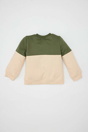 DeFacto Erkek Bebek Bisiklet Yaka Renk Bloklu İçi Yumuşak Tüylü Sweatshirt A9753A524WNKH450