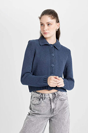 DeFacto Regular Fit Polo Yaka Basic Düz Düğmeli Triko Hırka D5395AX24AUNV215