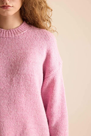 DeFacto Regular Fit Bisiklet Yaka Triko Kazak A3266AXNSPN180