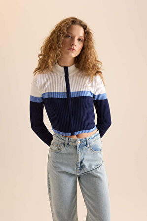 DeFacto Coool Regular Fit Yarım Balıkçı Yaka Triko Hırka A3646AXNSNV42