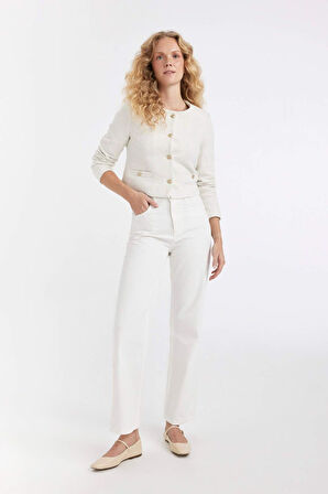 DeFacto Regular Fit Bisiklet Yaka Tweed Blazer Ceket D3910AX24AUER105