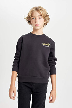 DeFacto Erkek Çocuk Baskılı Bisiklet Yaka Baskılı Kalın Siyah Sweatshirt D3091A824AUAR138