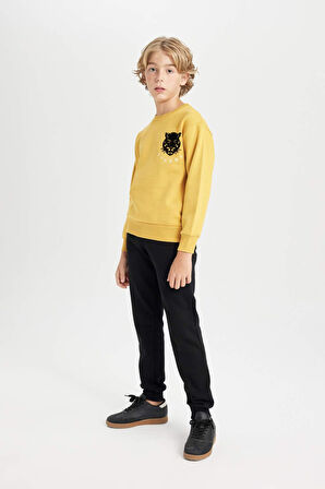 DeFacto Erkek Çocuk Sarı Bisiklet Yaka Kaplan Baskılı Sweatshirt D3096A824AUYL310