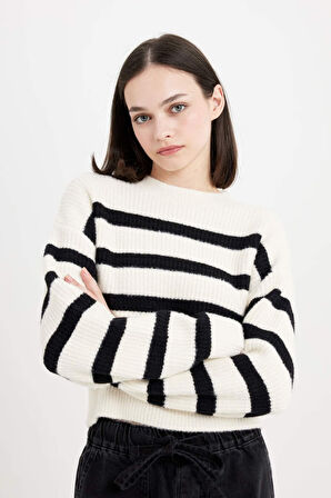 DeFacto Regular Fit Çizgili Bisiklet Yaka Triko Kazak	 R1285AZ24CWBK27