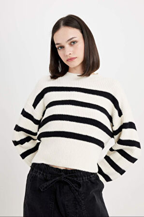 DeFacto Regular Fit Çizgili Bisiklet Yaka Triko Kazak	 R1285AZ24CWBK27